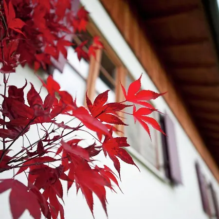 Appartement Alluring In With Private Garden Bad Kohlgrub
